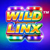 Persentase RTP untuk Wild LinX oleh Play Tech